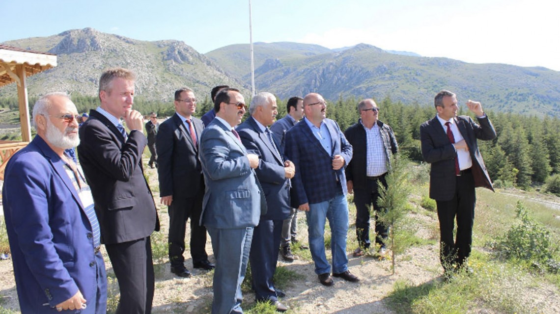 Dsi 18. Bolge Afyokarahisar Dinar Tatarli